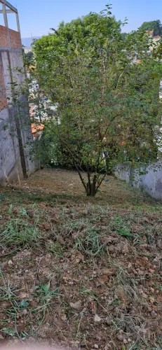 Terreno no Real Park