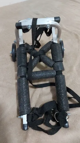 Cadeira 2 Rodas Cachorro tamanho M Pet Carrinho<br>Tombo