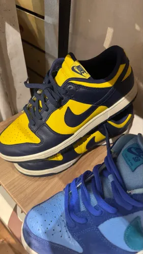 Nike Dunk 42 novo