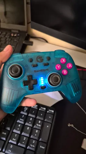 Gamesir SW + hall effect