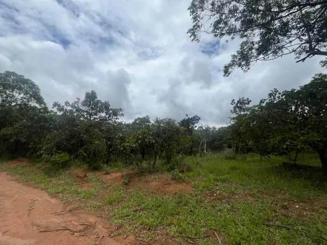 TERRENO EM ALEXÃNIA