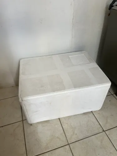 Caixa de isopor 100L
