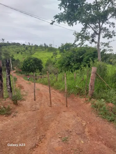 Terra de 5 alqueiros com 4 de capim cromado