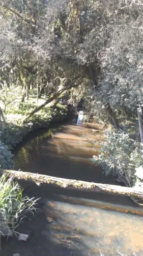 Chácara 2.000 M2 , parcelamos, fica na Fazenda Rio Grande, aceita carro tbm
