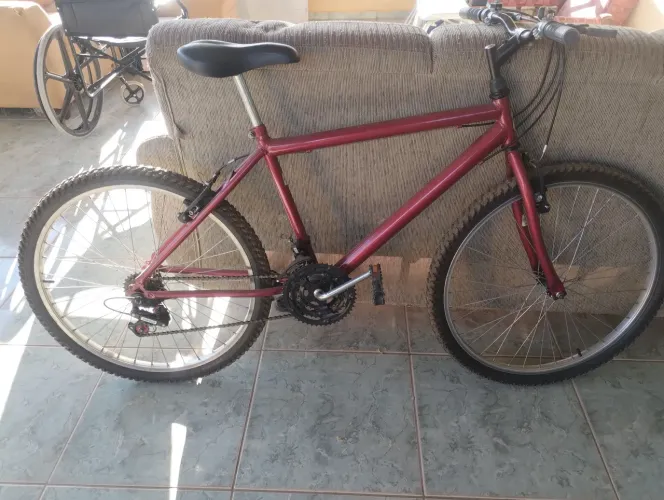 Bicicleta 
