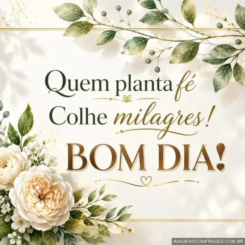 Sou diarista