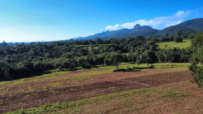 TERRENO DE PLANTIO 1000 M NA REGÃO DE IGARAPÉ