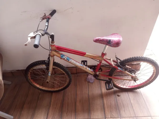 Bicicleta