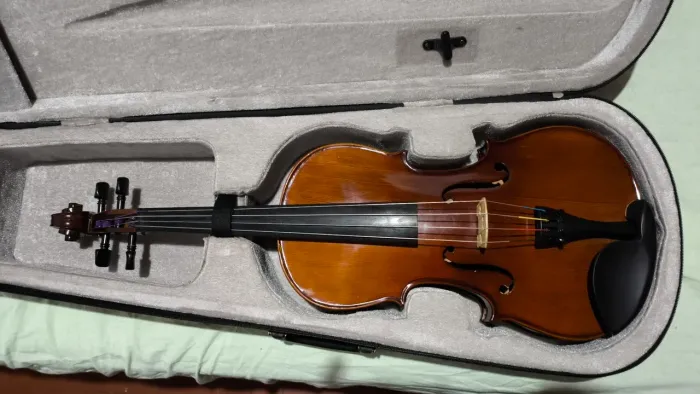 Viola Eagle tamanho 42 som incrivel