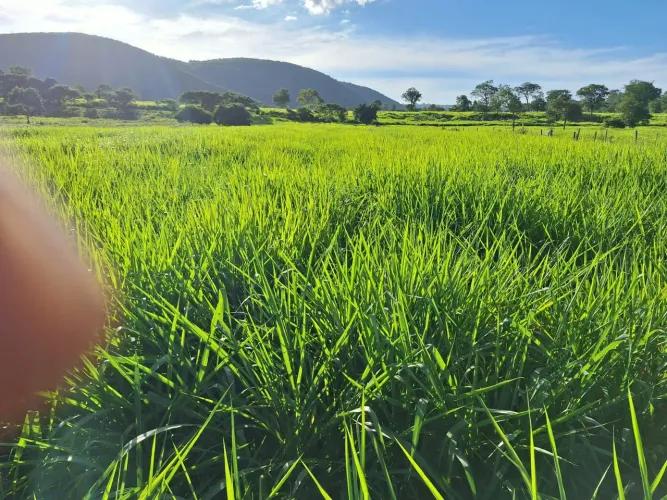 ..Ótima estrutura e logística..40 minutos de Montes Claros
