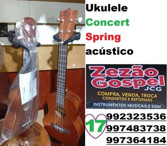 Ukulele concert spring acústico