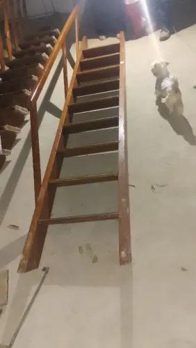 Escadas