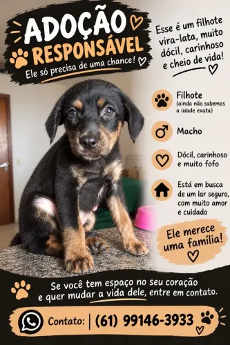 Adoção