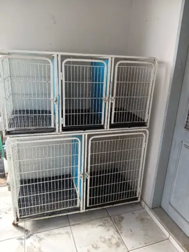 Canil Gaiola 5 Lugares Modular para Pet Shop