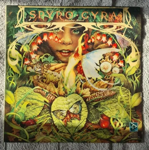 Disco de Vinil Spyro Gyra - Morning Dance (1ª Prensagem Nacional 1979) - Impecável