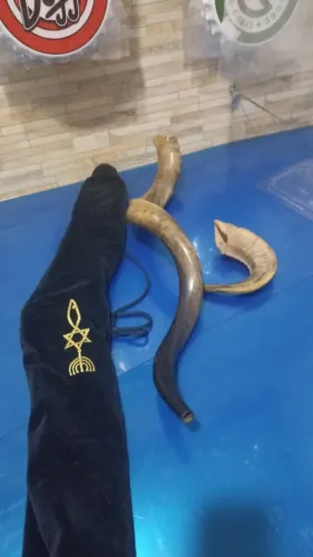 KIT Shofar de antílope e Carneiro