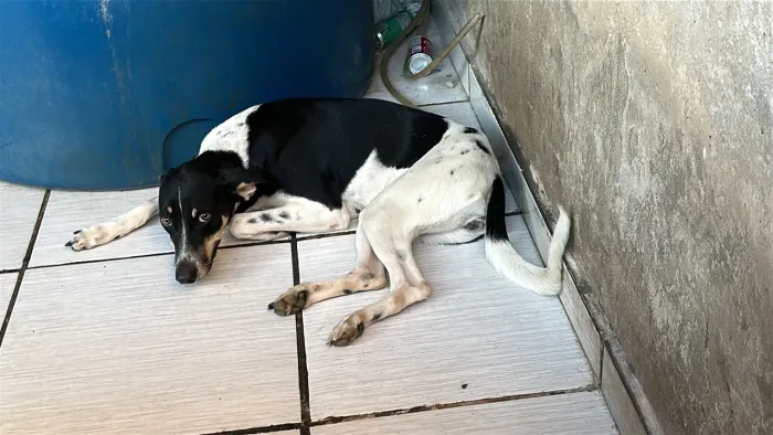 Doação