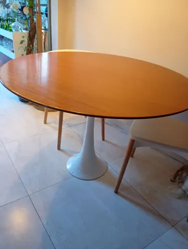 Mesa Saarinen
