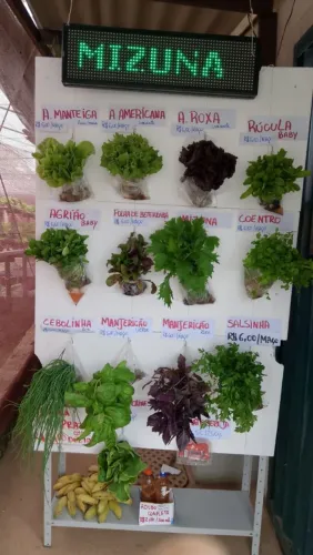Verduras em Promoção!
