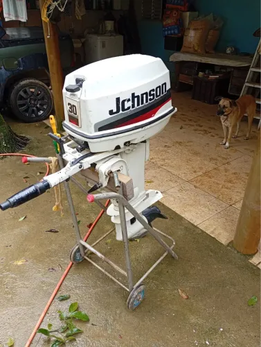 Motor johnson 30 hp