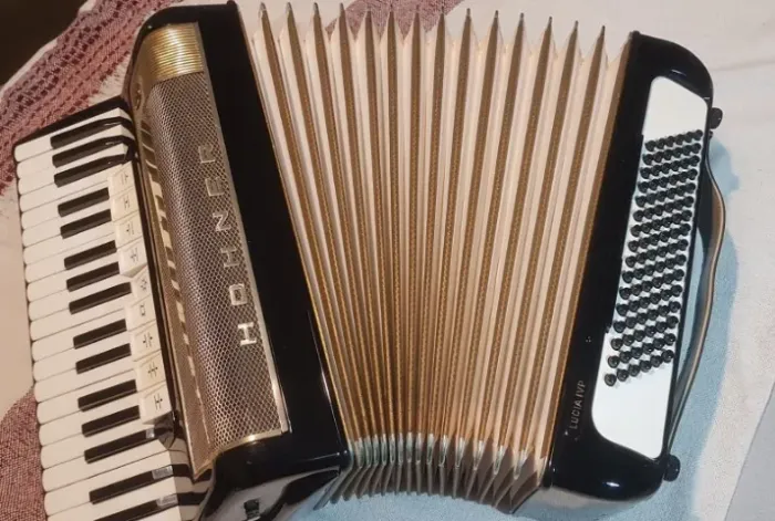 Acordeon Hohner 96 baixos