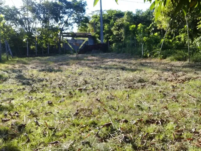 Terreno Ilha de Itaparica