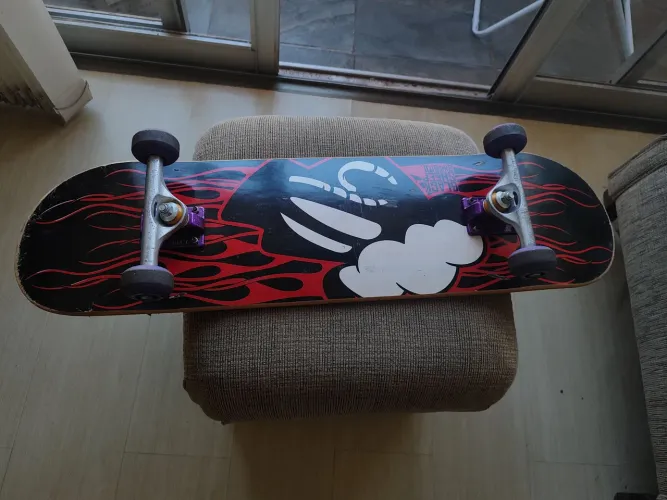 Skate todo Black sheep Marfim