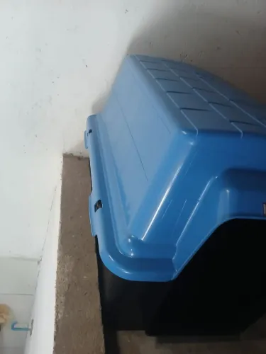 Casinha de cachorro
