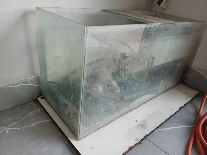 Aquário 200 litros