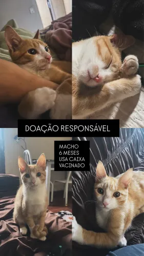 DOAÇÃO RESPONSÁVEL 