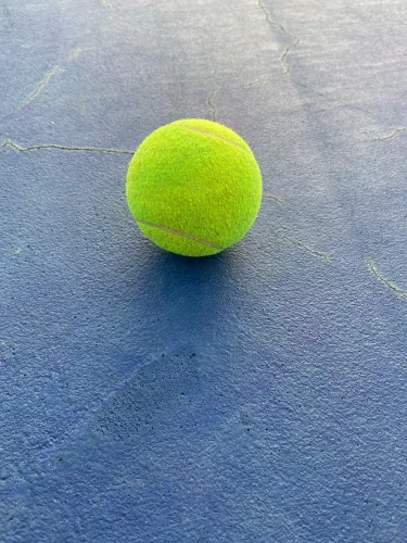 Vendo bolas de tenis usadas