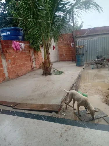 Construços e Reparos modesto