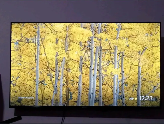 Smartv 