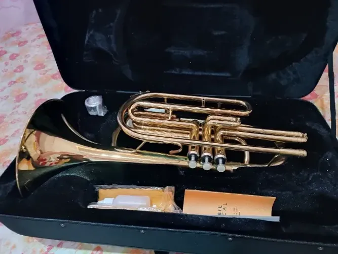 Vendo Trombonito Zerado Laqueado...