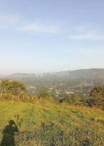 CHACARA A VENDA HERVAL DOS LIMA EM CASTRO REGIÃO DO ABAPÃ