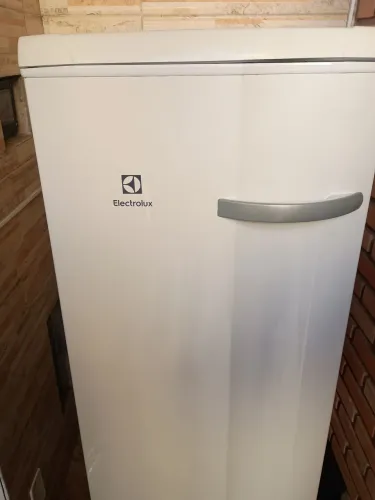 Freezer vertical