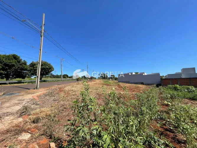 Terreno à venda em ótima localização no JARDIM PANCERA, TOLEDO - PR