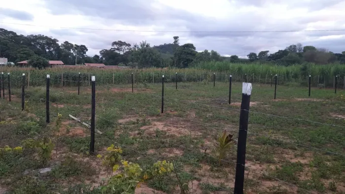 Lote ou chácara