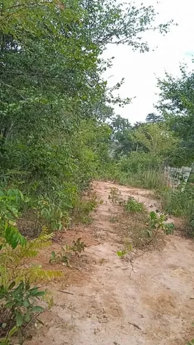 Vendo terreno em montes Claros (claro dos porções)