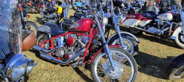 Harley Davidson Softail RevTech Carburada
