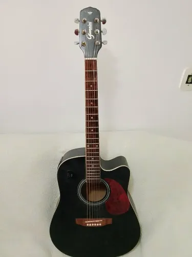 Vendo um violão Giannini profissional. Valor 450.