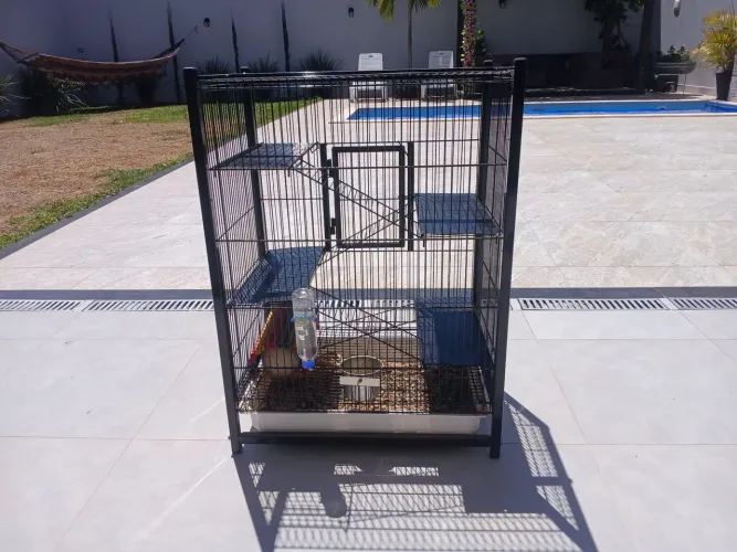 Gaiola de 3 andares