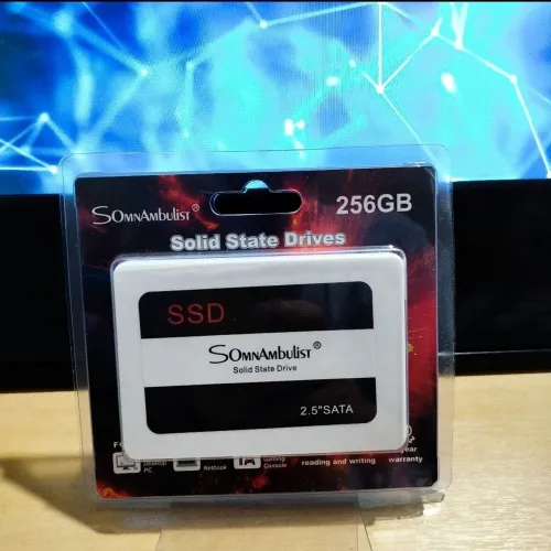 SSD 256GB (NOVO LACRADO)