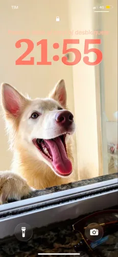 Husky siberiano 