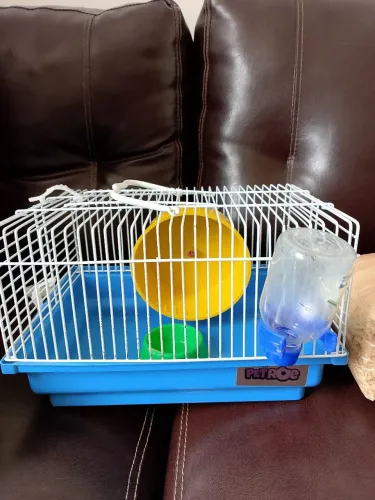 Casa de Hamster 