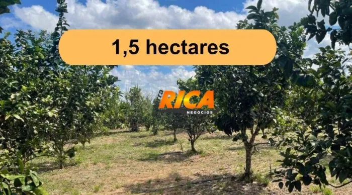 Chácara sustentável à venda  Porto Velho, sentido Humaitá
