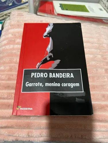Livro: Garrote, Menino Coragem, Pedro Bandeira, Editora Moderna, 4ª Edição