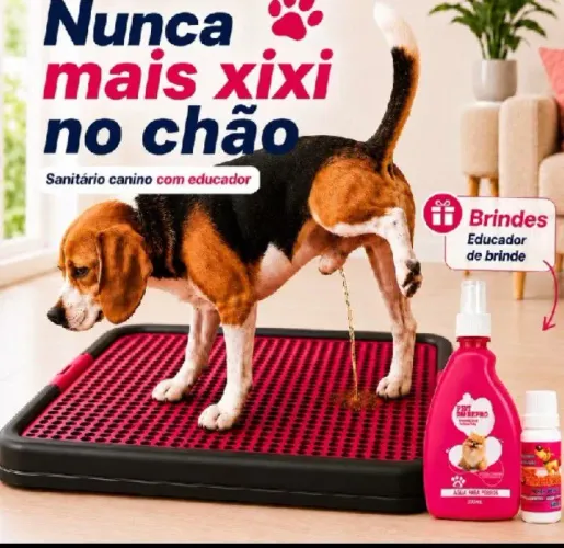Encinador de xixi para cachorro 