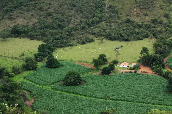 FAZENDA EM DELFINÓPOLIS 100 ALQUEIRES 6.000.000.00 ( ALF )