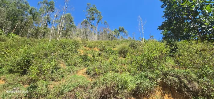 BLACK Sitio Parcelo, Domingos martins, rio para uso fruto- PARCELO, TROCO, AGUA E LUZ